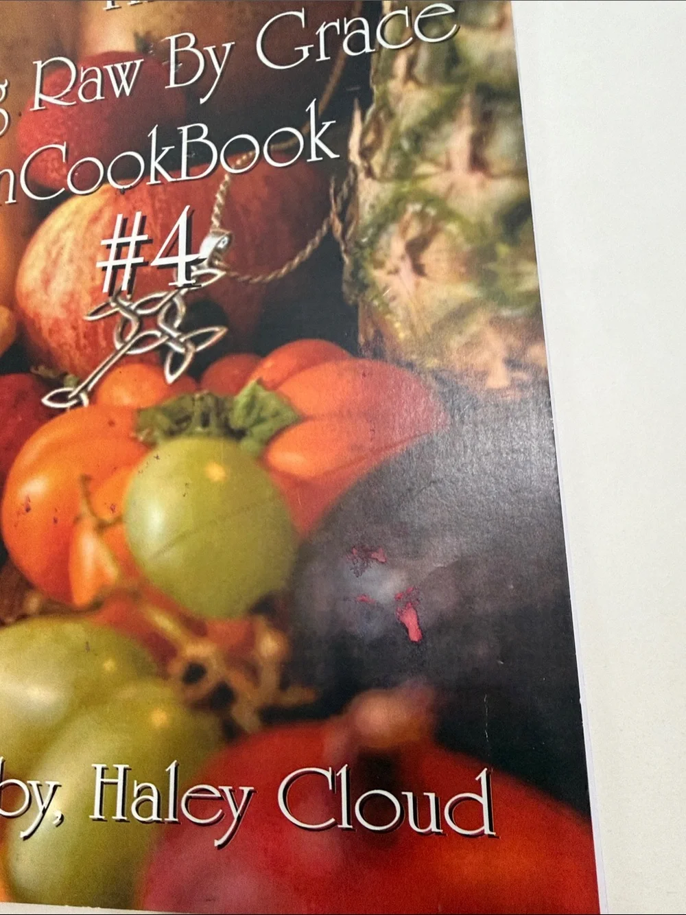 Haley Cloud Living Raw By Grace UnCookBook #4 - Red/Orange Cover